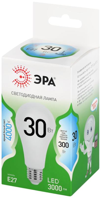 Лампа светодиодная  GREEN LINE LED A65-30W-840-E27 GL E27 30 Вт груша яркий белый свет | Б0067144 | ЭРА — миниатюра 5