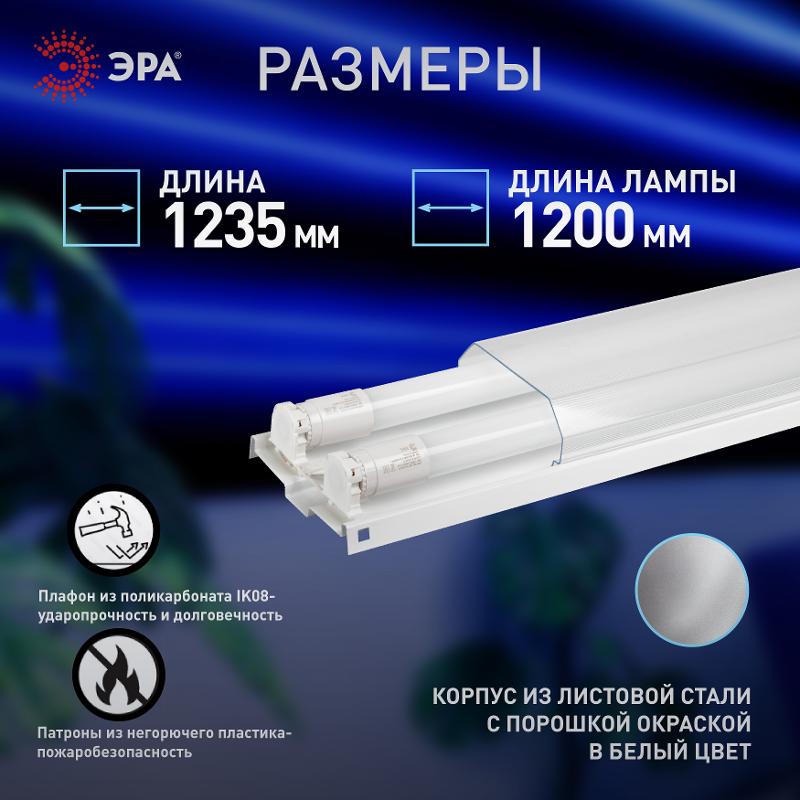 Светильник DPO B 1200 2хT8 G13 IP40 с рассеив. под 2 светодиод. лампы T8 2хG13 LED 12| Б0071381| ЭРА — миниатюра 5