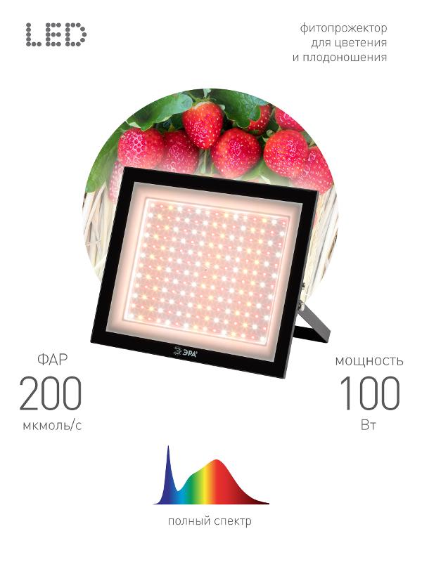 Прожектор светодиодный фито для растений FITO-100W-Ra90-LED для цветения и плодоношения (10/200) | Б0047876 | ЭРА — миниатюра 1