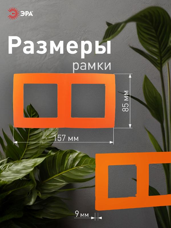 Рамка на 2 поста 12-5002-22  ,  оранжевый  |Б0019396 | ЭРА — миниатюра 4