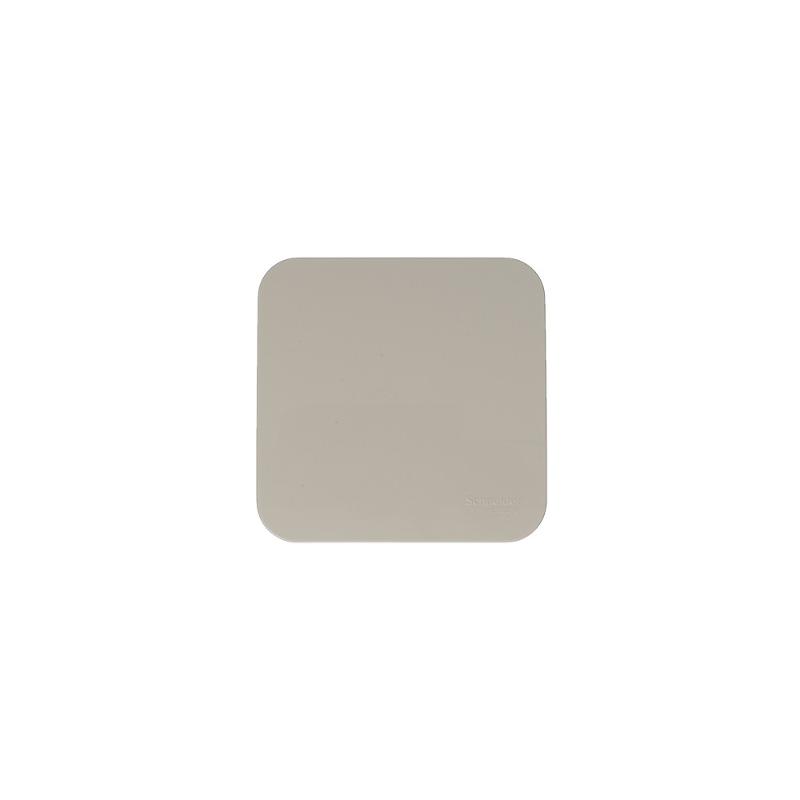 Blanca Бежевый О/У с изолирующей пластиной Выключатель 1-кл (cх.1) 10А, 250B | BLNVA101017 | SE — миниатюра 3