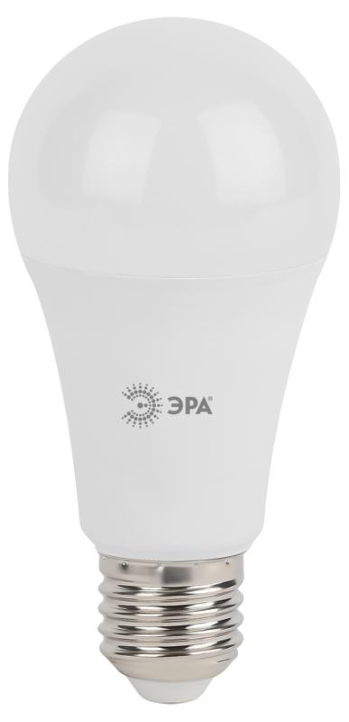 Лампа светодиодная LED 17Вт Е27 4000К A60-17W-840-E27 | Б0031700 | ЭРА — миниатюра 5