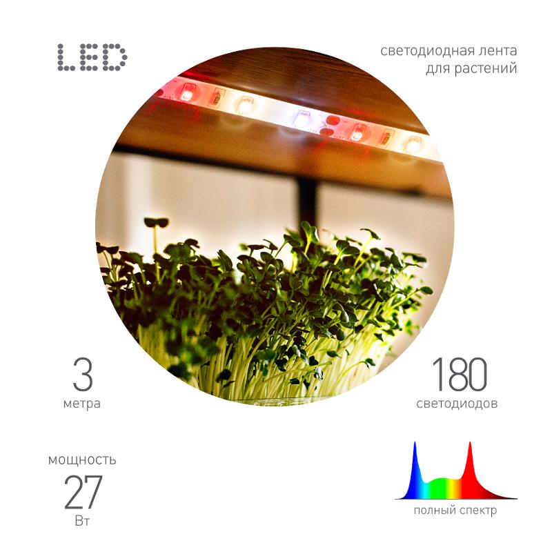 Светодиодная лента для растений  FITO-Strip Light-Rа90-27W-3m-12V-IP65 полного спектра 3м IP65 с адаптером 12V | Б0064597 | ЭРА — миниатюра 1