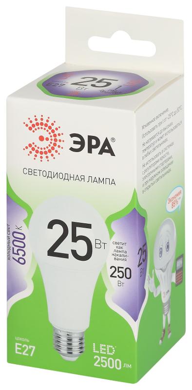 Лампа светодиодная  GREEN LINE LED A60-25W-865-E27 GL E27 25 Вт груша холодный свет | Б0067111 | ЭРА — миниатюра 5