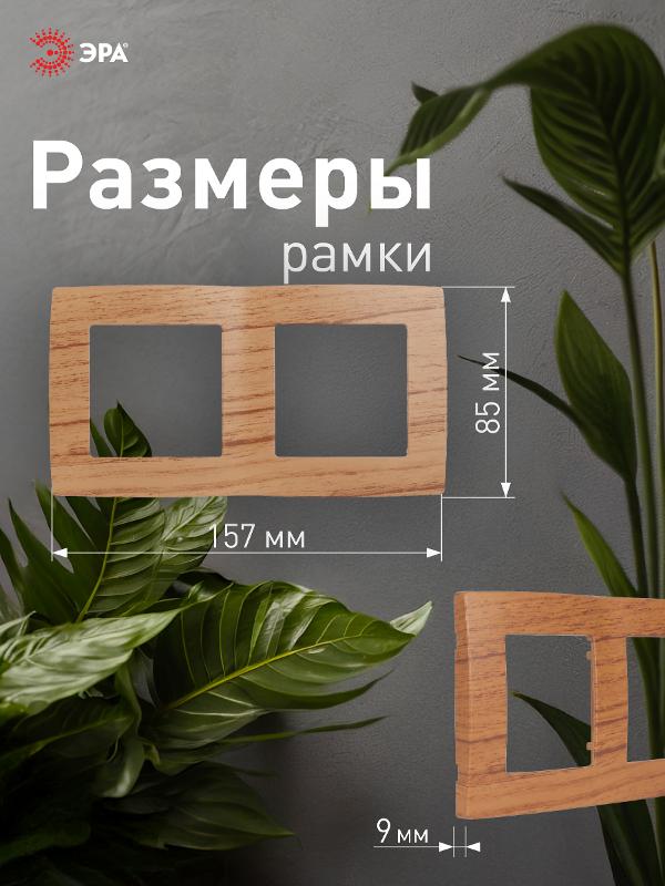 Рамка на 2 поста 12-5002-09  ,  дуб  |Б0014759 | ЭРА — миниатюра 4