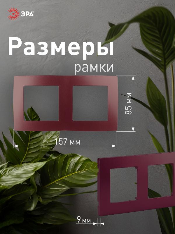 Рамка на 2 поста 12-5002-25  ,  бордо  |Б0019399 | ЭРА — миниатюра 4