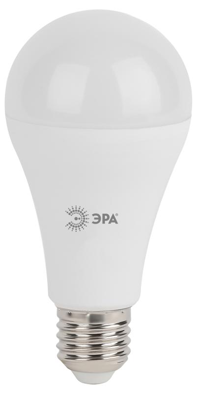 Лампа светодиодная LED 19Вт Е27 6000К A65-19W-860-E27 | Б0031704 | ЭРА — миниатюра 4