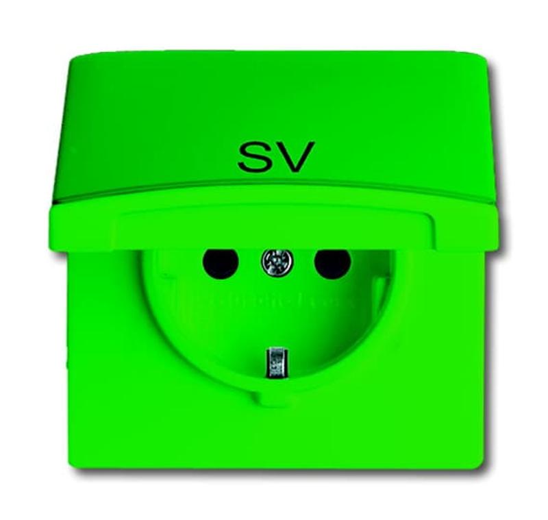 Розетка SCHUKO, 20 EUGKBLN-13-101, c контрольным СД, с крышкой, Allwetter44, IP44, зеленая, 16А, 250В. | 2064-0-0303 | ABB — ABB