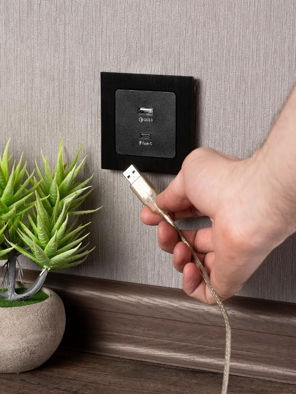 Стокгольм Механизм Розетки с 2USB type-A + type-C черный PROxima | EZR-2USB-type-C | EKF — миниатюра 8