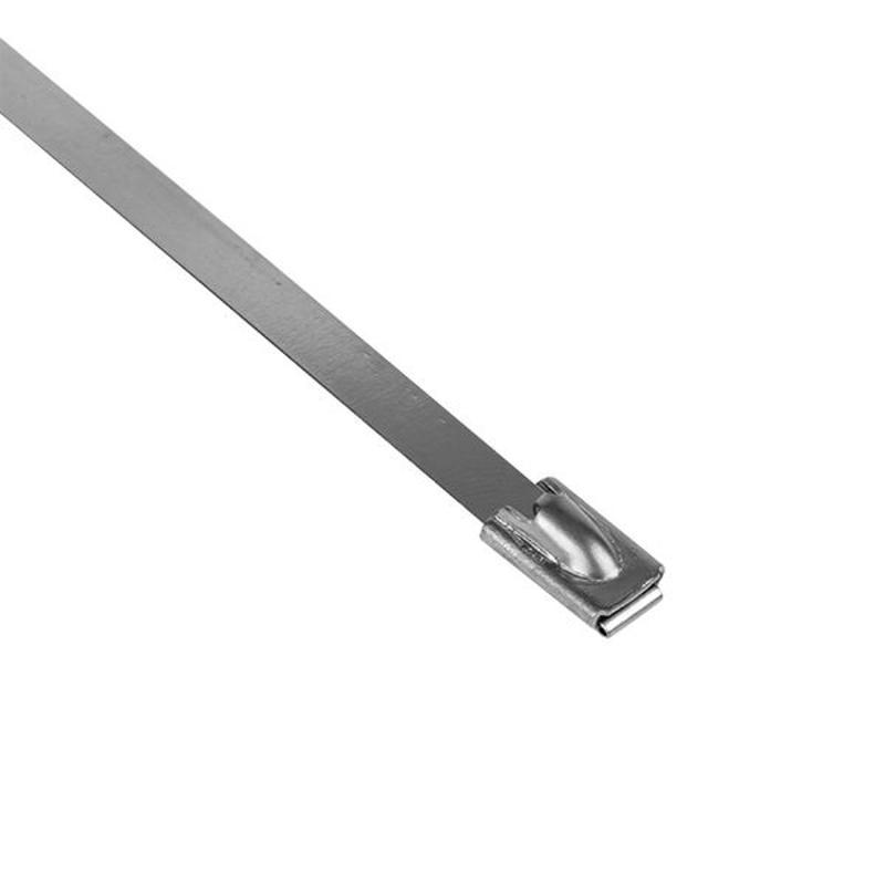 Хомут AISI 304 из нержавеющей стали, 4.6x200 (10 шт.) FlexLock PROxima | plc-fl-tss-304-4.6x200-r | EKF — миниатюра 7