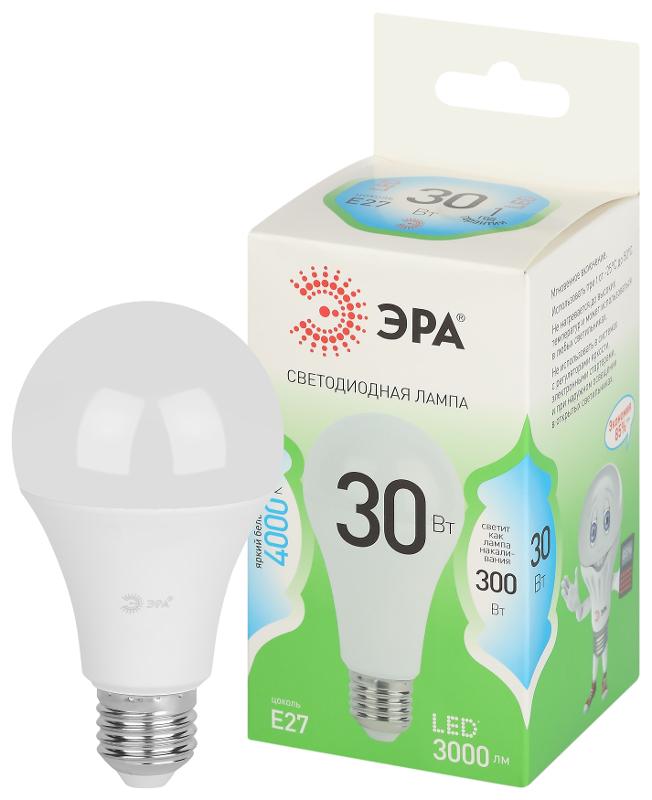 Лампа светодиодная  GREEN LINE LED A65-30W-840-E27 GL E27 30 Вт груша яркий белый свет | Б0067144 | ЭРА — миниатюра 1