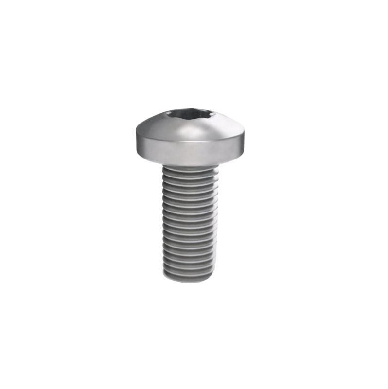 Винт М5х12 под шлиц Torx, 100 шт. | R5M512 | DKC — DKC (ДКС)