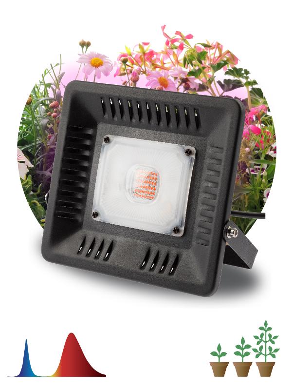 Прожектор светодиодный фито для растений красно-синий спектр FITO-50W-LED BLUERED | Б0039033 | ЭРА — ЭРА (Энергия света)