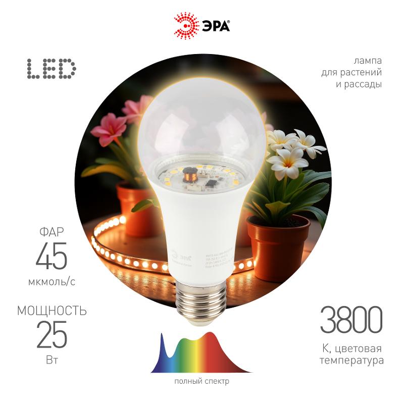 Фитолампа для растений светодиодная  FITO-25W-Ra90-E27 полного спектра 25 Вт Е27 | Б0069713 | ЭРА — ЭРА (Энергия света)