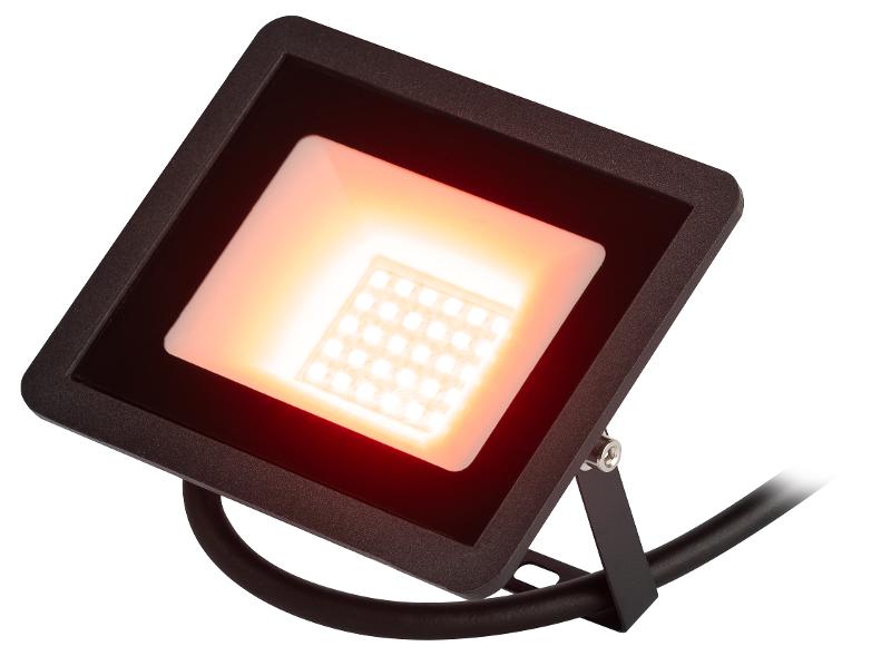 Прожектор светодиодный   LPR-025-RED-030 30Вт красное свечение 600лм IP65 | Б0064721 | ЭРА — ЭРА (Энергия света)