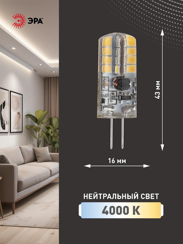 Лампа светодиодная LED-JC-2,5W-12V-840-G4 | Б0033192 | ЭРА — миниатюра 2