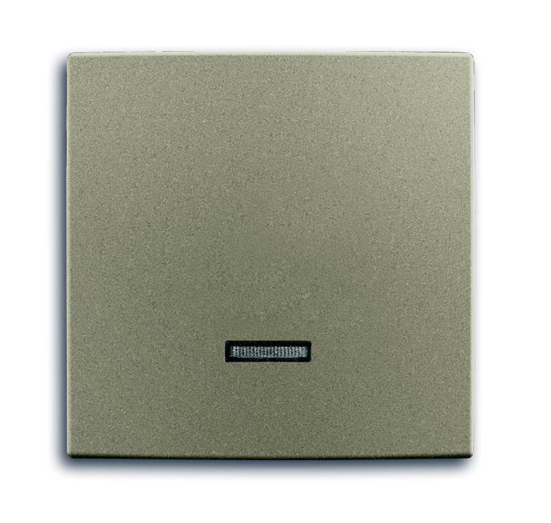 ABB Basic 55 Шампань Клавиша для светорег 6550 U-10x, 6560 U-101, 6593 U, реле 6401 U-10x, 6402 U | 6599-0-2993  | 2CKA006599A2993 | ABB — ABB