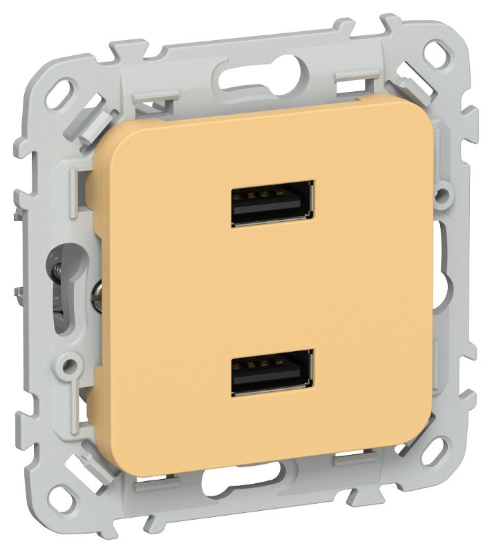 FLITE Розетка USB A+A 2,1А РЮ-2-ФлЗ золотарник | FI-U21-D31-K90 | IEK — фото 1 | Sento