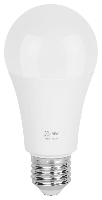 Лампа светодиодная  GREEN LINE LED A60-25W-830-E27 GL E27 25 Вт груша теплый свет | Б0067087 | ЭРА — миниатюра 6