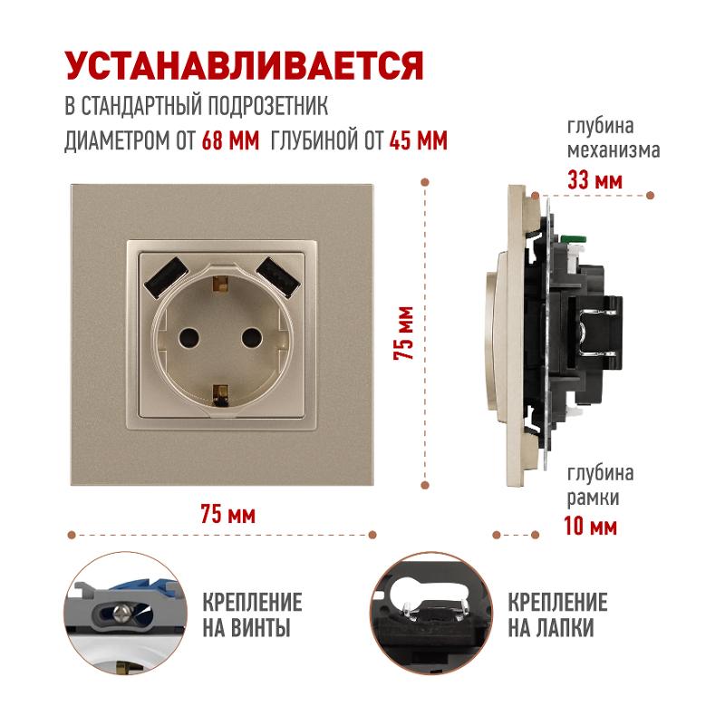 14-4109-04 Розетка без заземления+E 16A-250В, штор. с 2xUSB 5В-3А, Elegance, шампань (10/100/2000) | Б0047870 | ЭРА — миниатюра 2
