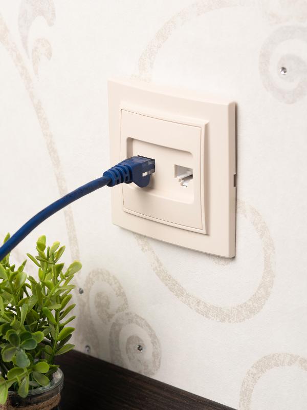 Розетка RJ-45+Phone СП бежевый Минск EKF|ERK00-135-20|EKF — миниатюра 5
