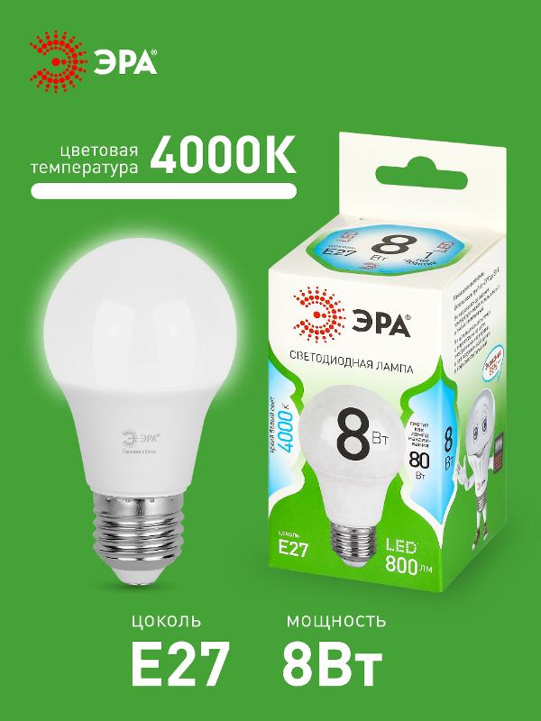 Лампа светодиодная  GREEN LINE LED A60-8W-840-E27 GL E27 8 Вт груша яркий белый свет | Б0067139 | ЭРА — миниатюра 3