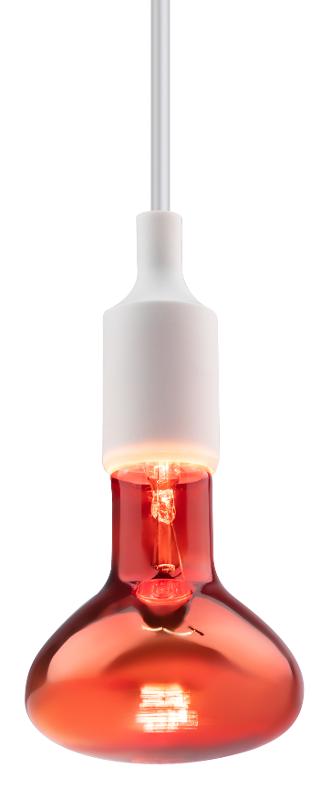 Комплект из 2-х инфракрасных ламп  ИКЗК 230-100 R95 E27 для курятника цыплят птиц животных/лампа для обогрева | Б0072847 | ЭРА — миниатюра 4