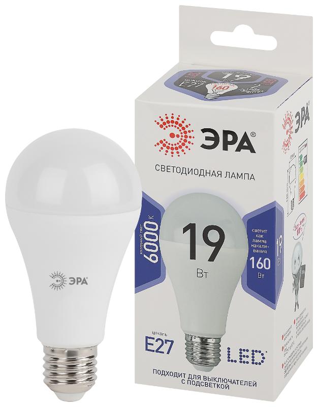 Лампа светодиодная LED 19Вт Е27 6000К A65-19W-860-E27 | Б0031704 | ЭРА — миниатюра 5