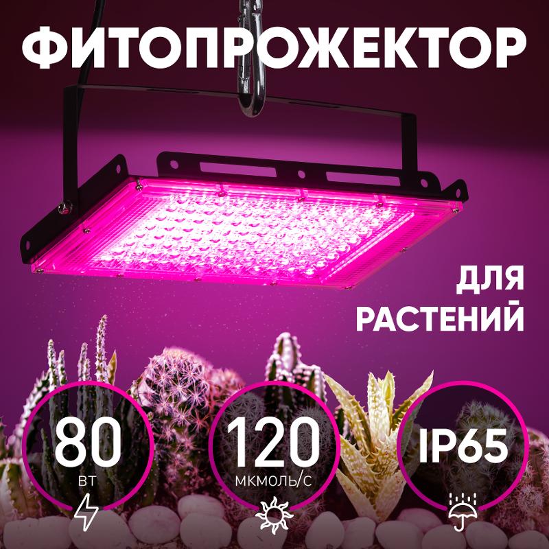 Фитопрожектор для растений светодиодный 80Вт FITO-80W-RB-LED-Y красно-синего спектра — миниатюра 2
