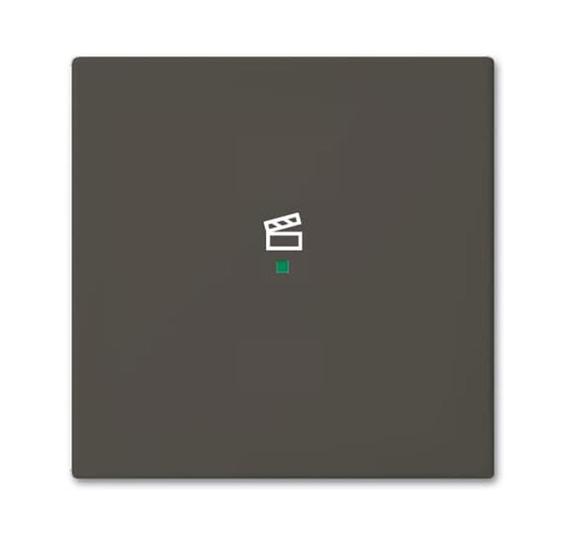 SRS-1-95 Клавиша одинарная free@home, сцена, Basic 55, цвет chateau-black | 6220-0-0689  | 2CKA006220A0689 | ABB — ABB