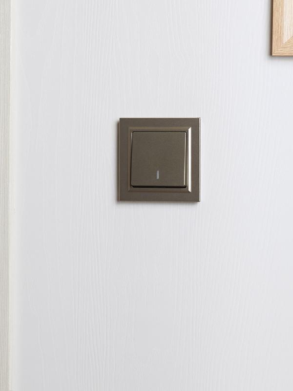 BRITE Рамка 1-ая IP44 РУ-1-БрШ-44 шампань | BR-M12-44-K37 | IEK — миниатюра 8