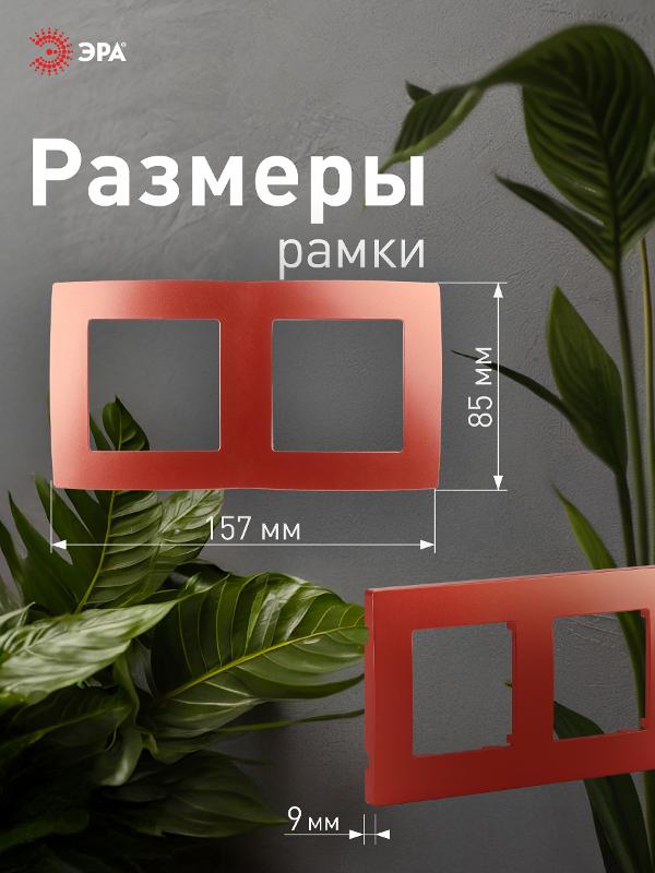 Рамка на 2 поста 12-5002-24  ,  охра  |Б0019398 | ЭРА — миниатюра 4