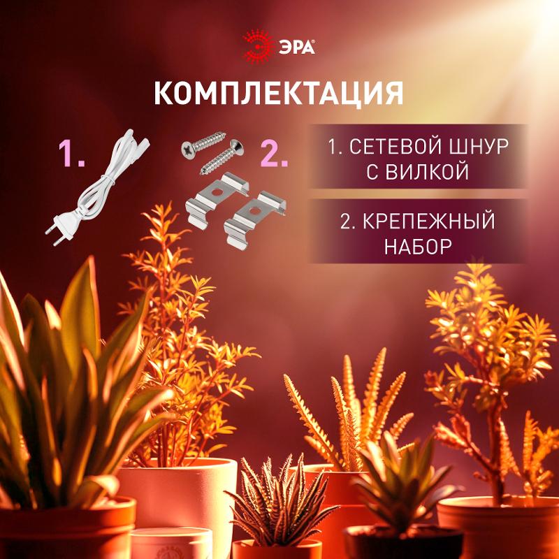 Светильник для растений фитолампа светодиодная линейная  FITO-24W-Ra90 полного спектра 24 Вт | Б0069717 | ЭРА — миниатюра 2