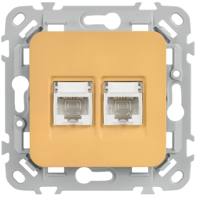 FLITE Розетка 2-ая компьютерная RJ45 кат.5Е UTP РК5е-2-0-ФлШм шамуа | FI-K22-1-K89 | IEK — миниатюра 2