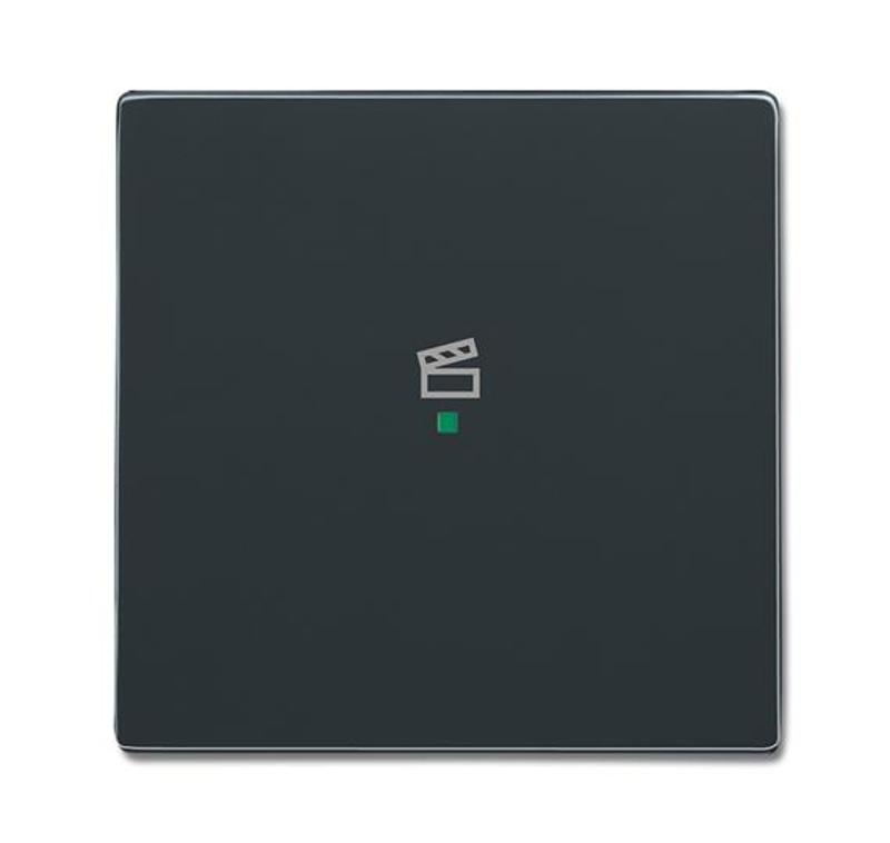 SRS-1-81 Клавиша одинарная free@home, сцена, future, антрацит|6220-0-0146| ABB — ABB