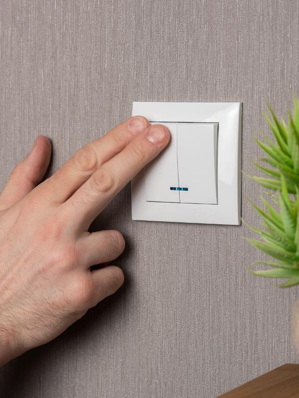 Валенсия выключатель 2-кл. 10А белый с индикатором EKF PROxima |  EWV10-123-10 |  EKF — миниатюра 8