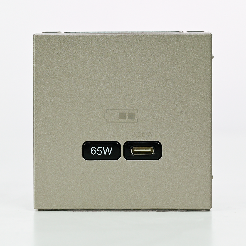 ArtGallery Шампань Розетка USB тип-С 65Вт высокоскор.заряд. QC, PD, механизм | GAL000527 | SE — миниатюра 7