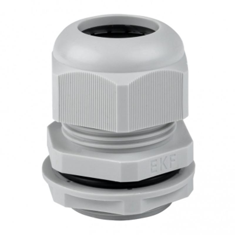 Сальник PG29 IP54 (20 шт) d отв. 36 мм / d провод. 18-25 мм PROxima | plc-pg-29-r | EKF — EKF