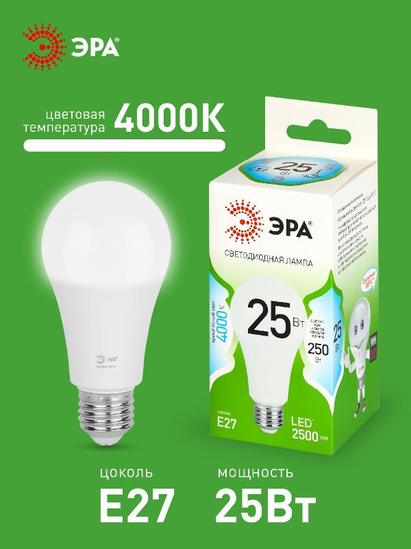Лампа светодиодная  GREEN LINE LED A60-25W-840-E27 GL E27 25 Вт груша яркий белый свет | Б0067117 | ЭРА — миниатюра 3