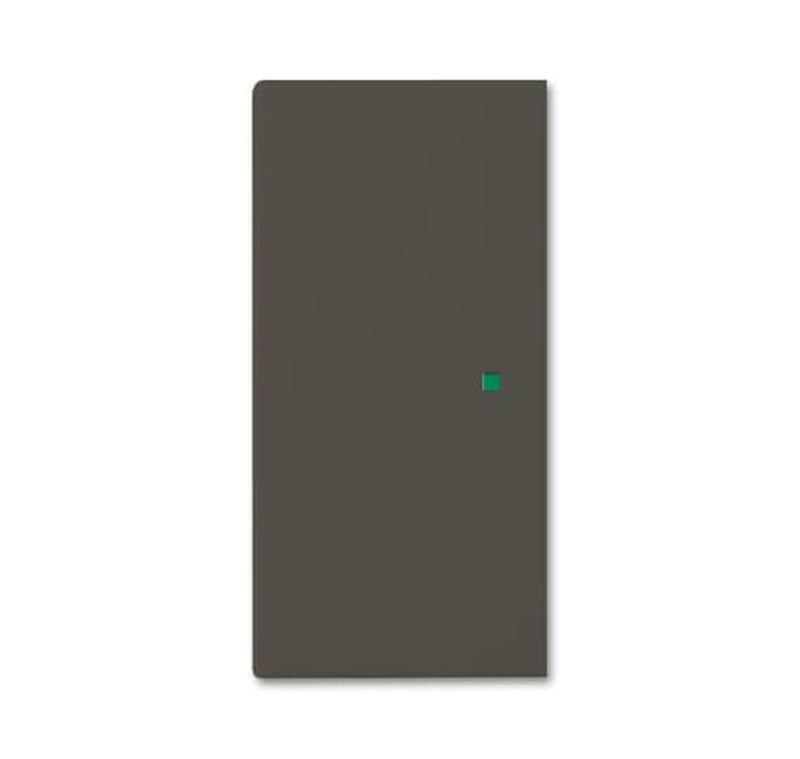 SR-2-95 Клавиша двойная free@home, Basic 55, цвет chateau-black | 6220-0-0691  | 2CKA006220A0691 | ABB — ABB
