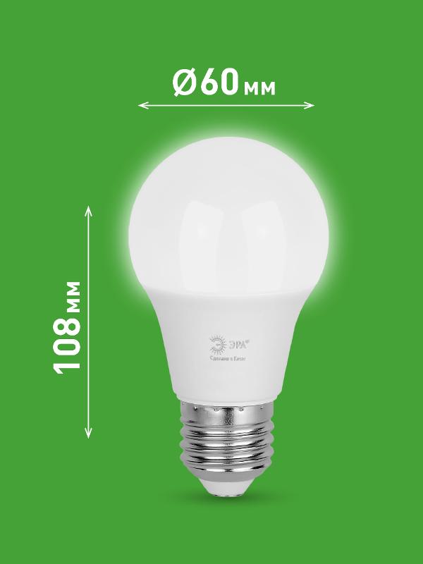 Лампа светодиодная  GREEN LINE LED A60-15W-840-E27 GL E27 15 Вт груша яркий белый свет | Б0067128 | ЭРА — миниатюра 2