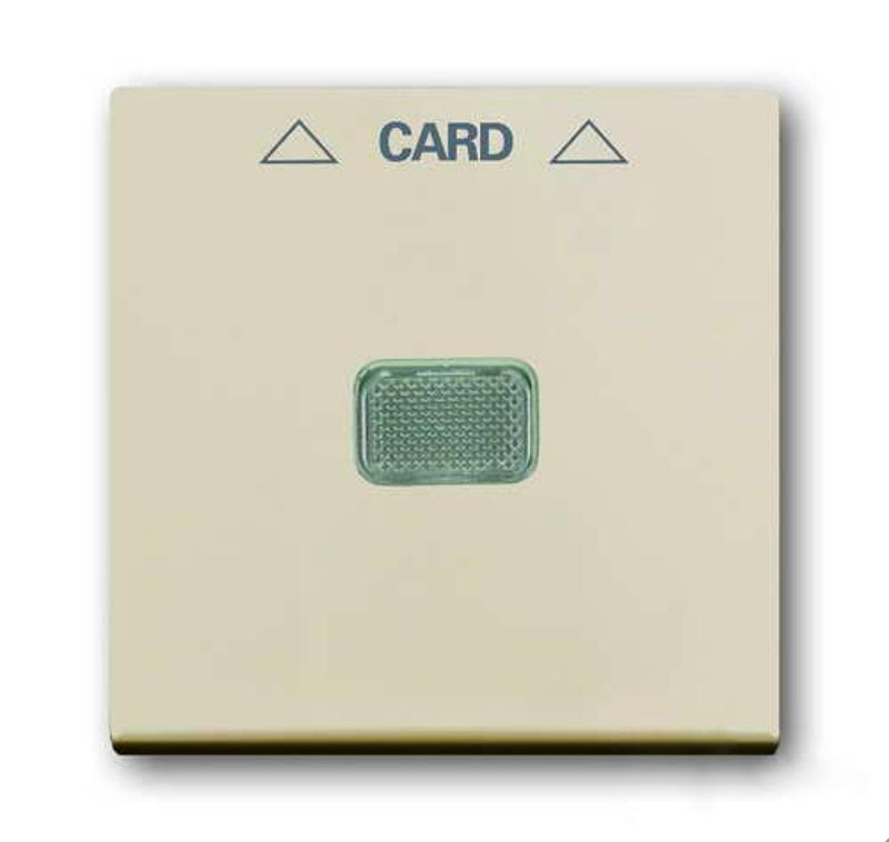 ABB Basic 55 Сл. кость Накладка карточного выключателя(мех. 2025U) | 1710-0-3865  | 2CKA001710A3865 | ABB — ABB