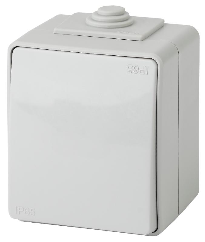 Выключатель IP65, 10АХ-250В, 11-1601-03,ОУ, Эра Эксперт, Серый | Б0035972 | ЭРА — ЭРА (Энергия света)