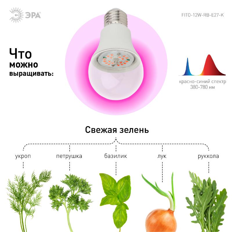 Лампа светодиодная фито для растений 12Вт E27 красно-синий спектр FITO-12W-RB-E27-K — миниатюра 3