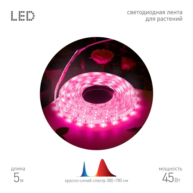 Светодиодная лента для растений  FITO-Strip Light-RB-45W-5m-12V-IP65 красно-синего спектра 5м IP65 с адаптером 12V | Б0064596 | ЭРА — ЭРА (Энергия света)