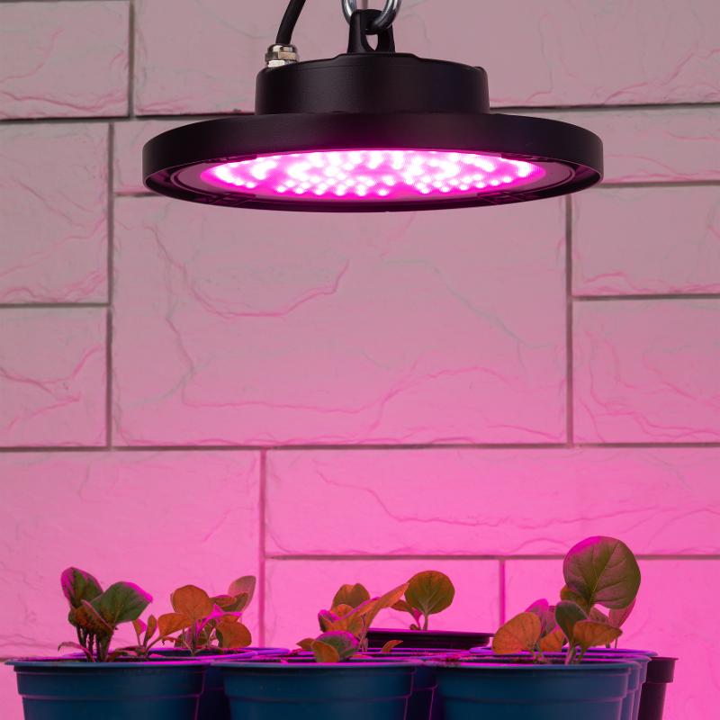 Фитопрожектор для растений светодиодный 50Вт FITO-50W-RB-LED-UFO красно-синего спектра — миниатюра 6