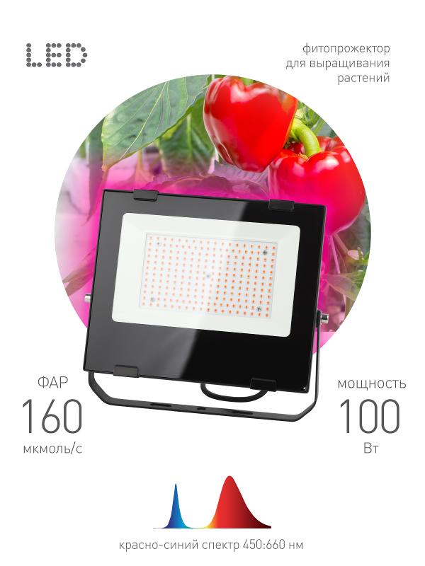 Прожектор светодиодный фито для растений красно-синий спектр FITO-100W-RB-LED | Б0046369 | ЭРА — ЭРА (Энергия света)