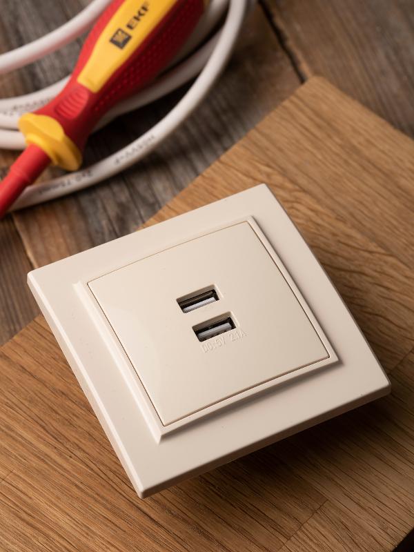 Минск Розетка USB 2-местная СП 2,1А  бежевая   | ERR-2USB-200 | EKF — миниатюра 2
