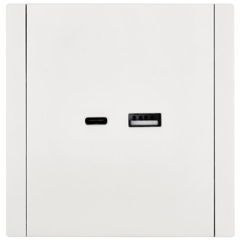 FORTE&PIANO Розетка USB A+C 3,1А FP250 белый | FP-U22-D31-K01 | IEK — миниатюра 2
