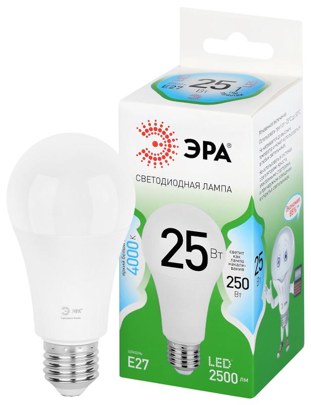 Лампа светодиодная  GREEN LINE LED A60-25W-840-E27 GL E27 25 Вт груша яркий белый свет | Б0067117 | ЭРА — ЭРА (Энергия света)